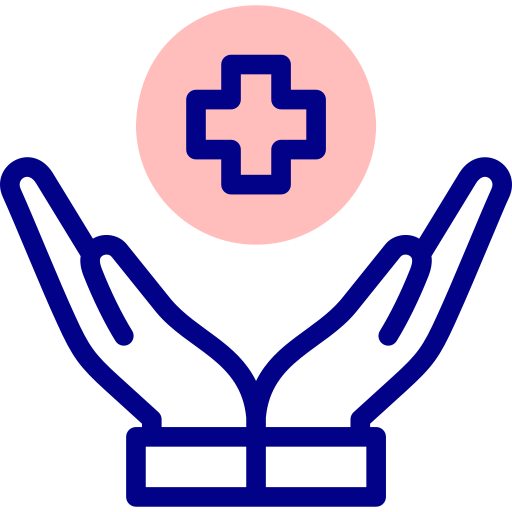 Healthcare Accessibility Icon